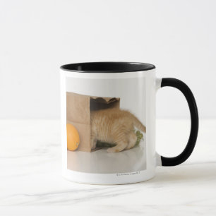 Kattungeinsidamatkasse Mugg
