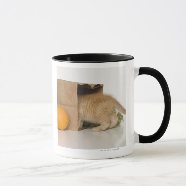 Kattungeinsidamatkasse Mugg (Höger)