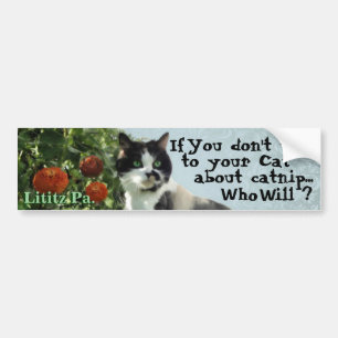 Kattungeinspirationbildekal Bildekal