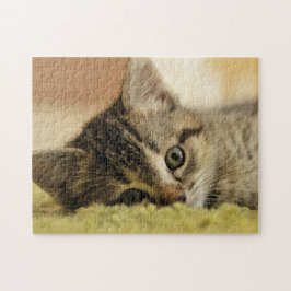 kattungejigsaw pussel
