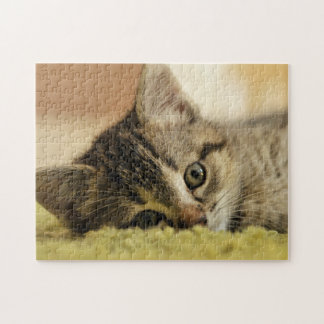 kattungejigsaw pussel