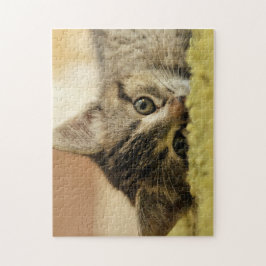 kattungejigsaw pussel