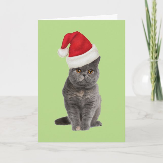 kattungejulaftonkort helgkort (Framsida)