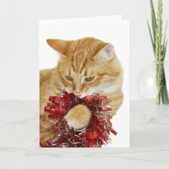 Kattungejulkort Helgkort (Framsida)