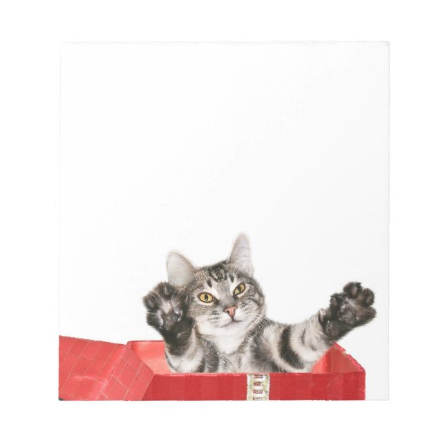 Kattungejulkram Anteckningsblock (Framsida)