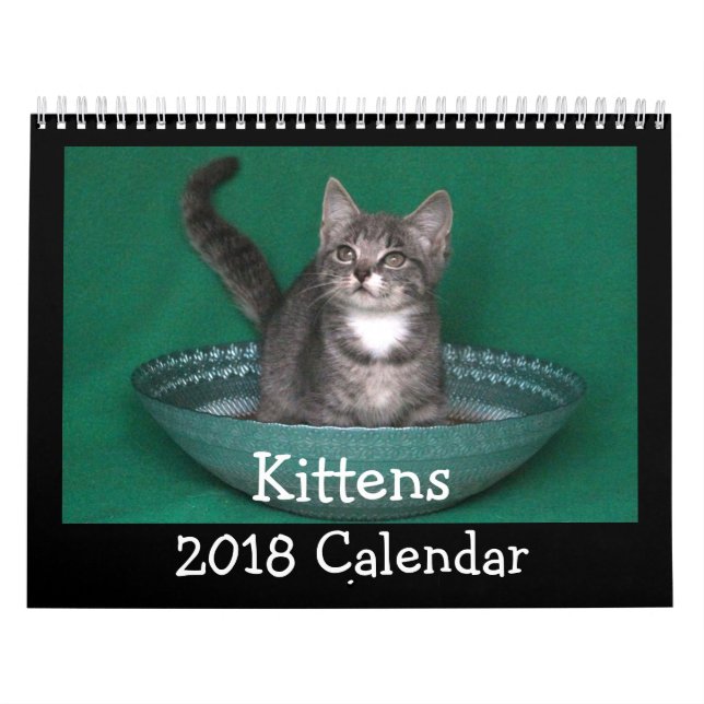 Kattungekalender 2018 kalender (Omslag)