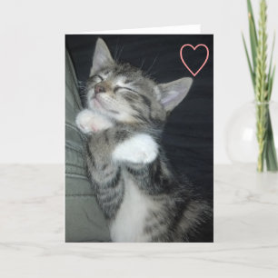 Kattungekärlek Helgkort