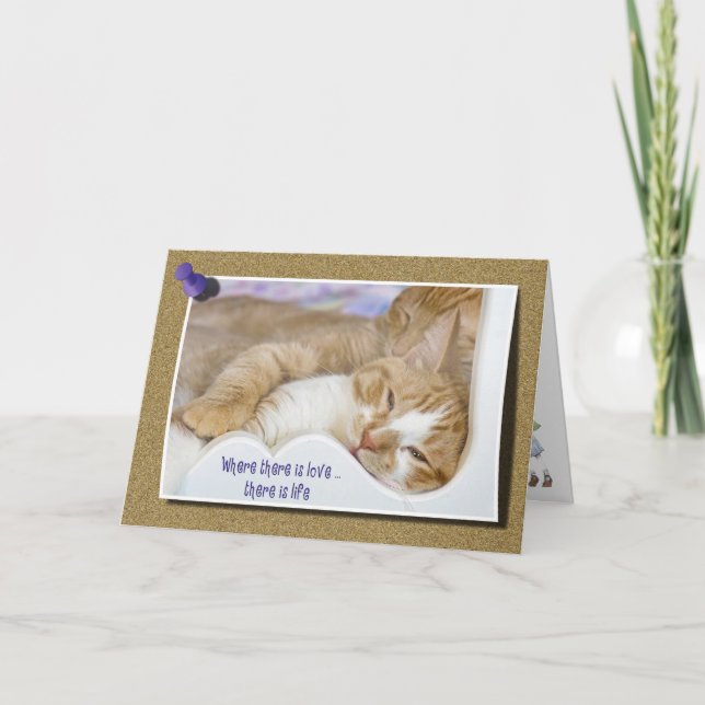 Kattungekärlek Kort (Framsida)