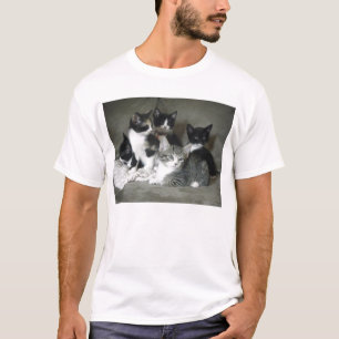 Kattungekärlek tajmar 5 t shirt