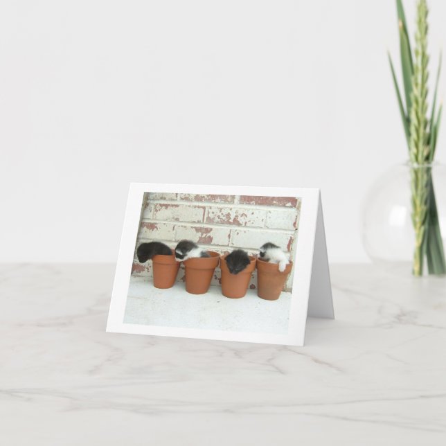 Kattungekrukar noterar kort (Framsida)