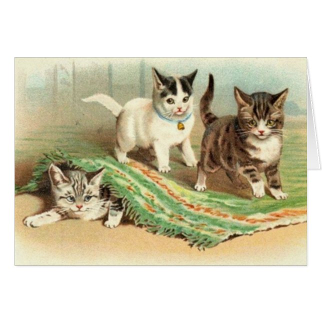 Kattungekurragömma Hälsningskort (Framsidan Horizontal)