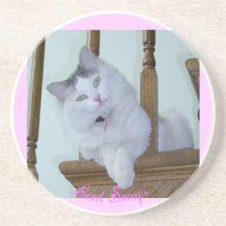 Kattungekustfartyg Underlägg