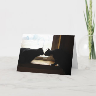 Kattungekyssen noterar kortet kort