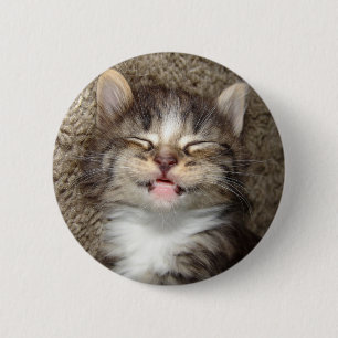 Kattungeleende Knapp