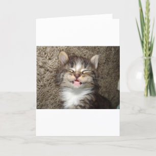 Kattungeleende Kort