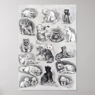 Kattungeliv på kattshowen, Louis Wain Poster