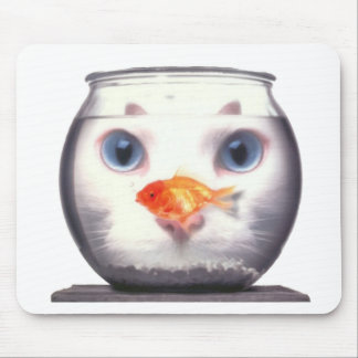 Kattungelunch Musmatta