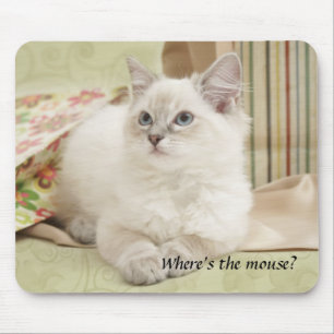 kattungemousemat musmatta