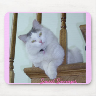 Kattungemusen vadderar musmatta