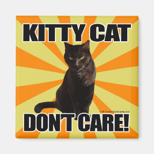 Kattungen att bry sig inte magnet