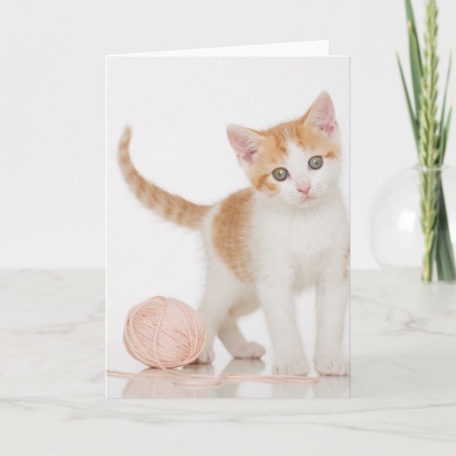 Kattungen bredvid boll av stränger kort (Framsida)