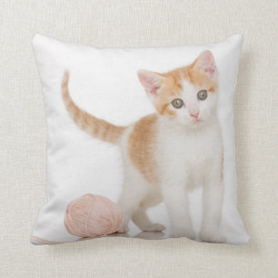 Kattungen bredvid boll av stränger kudde