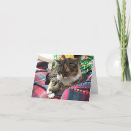 kattungen får den väl notecarden #2 kort