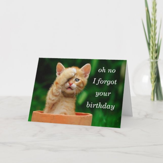 kattungen glömde födelsedag kort (Framsida)