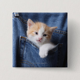 kattungen i jeans hänger lös knapp