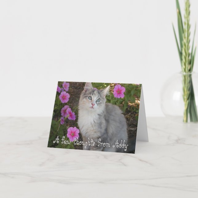 Kattungen noterar kortet kort (Framsida)