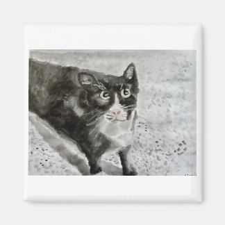 Kattungen på magnet