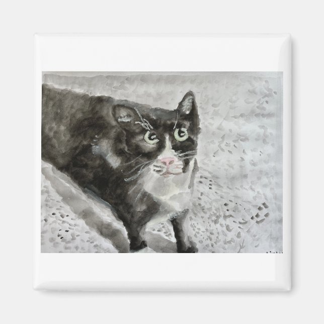 Kattungen på magnet (Framsidan)