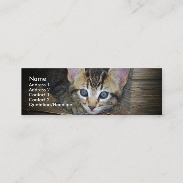 Kattungen profilerar kortet mini visitkort (Framsida)