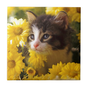 Kattungen sniffar de gula daisy kakelplatta