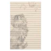 Kattungen som håller ögonen på fåglarna