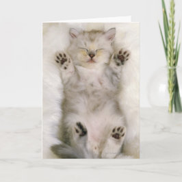 Kattungen som sovar på en fluffig vit, mattar, kort