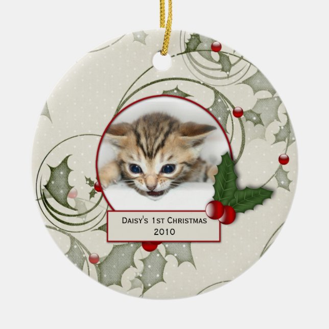 Kattungens 1:a julgranskula (Framsidan)