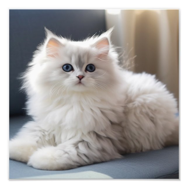 Kattungens daghem & Barnkammartryck Fototryck (Framsidan)