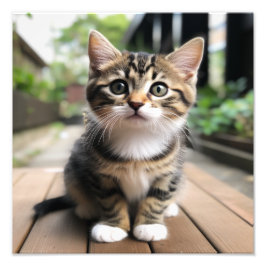 Kattungens daghem & Barnkammartryck Fototryck