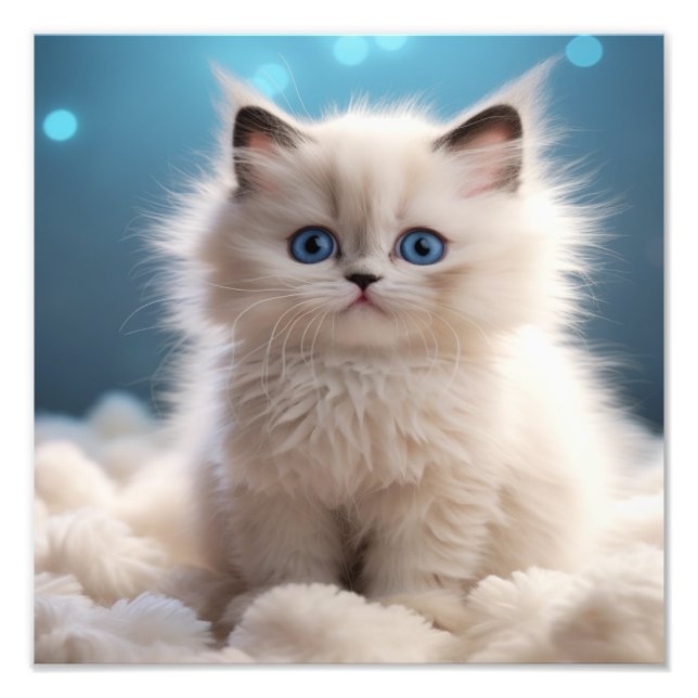 Kattungens daghem & Barnkammartryck Fototryck (Framsidan)