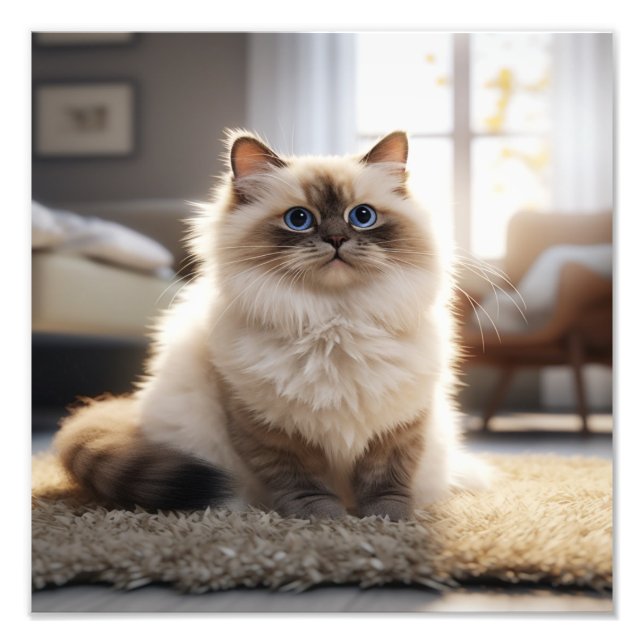 Kattungens daghem & Barnkammartryck Fototryck (Framsidan)