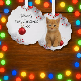 Kattungens första jul