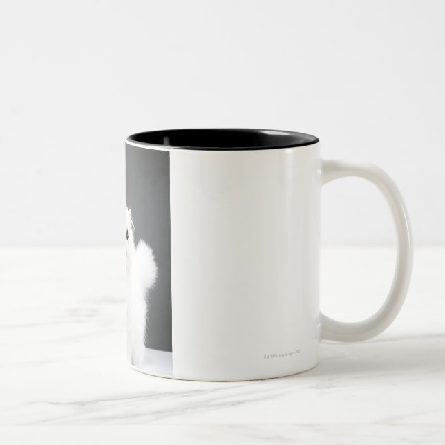 Kattungeporträtt Två-Tonad Mugg (Höger)