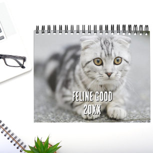 Kattungesälskare Foto Collage & Roliga Kattjokes Kalender