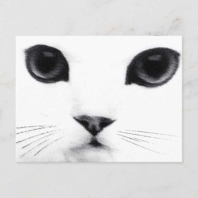 Kattungesärdrag Vykort (Framsida)