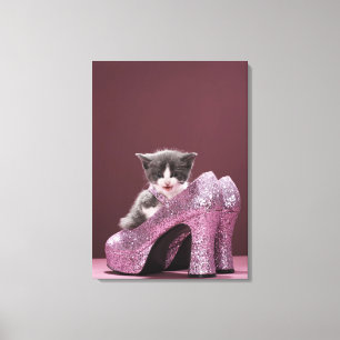 Kattungesitta i glitter skor canvastryck