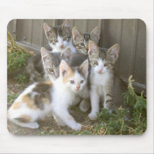 Kattungevänner Mousepad Musmatta