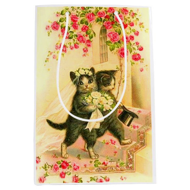 kattungungar (Framsidan)