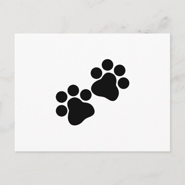 Kattutskrifter Vykort (Framsida)