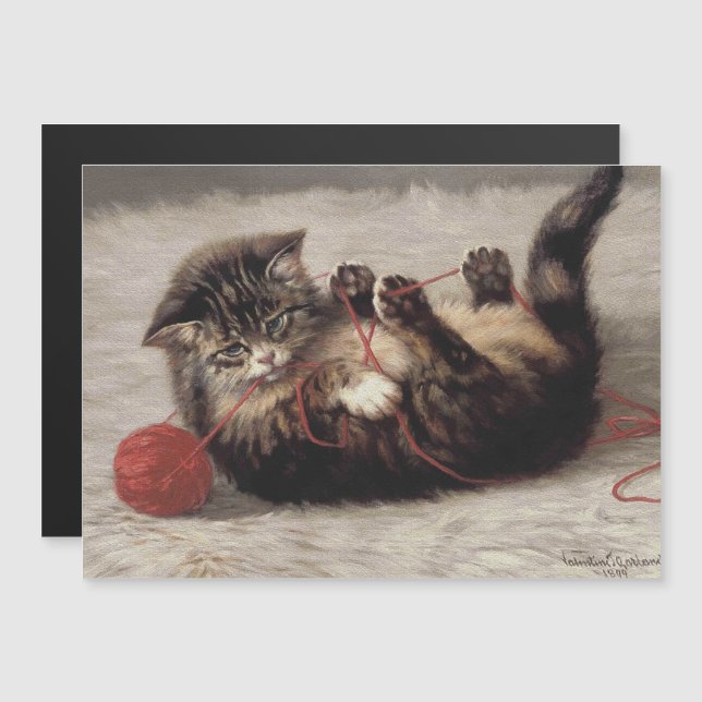 Kattvagga, en katt som spelar Boll av garn (Fram/baksida)